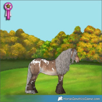 Horse Color:White Spotted Silver Bay Dun Brindle 