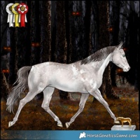 Horse Color:Platinum White Spotted Chocolate Brown Pearl Dun Mushroom Appaloosa Rabicano 
