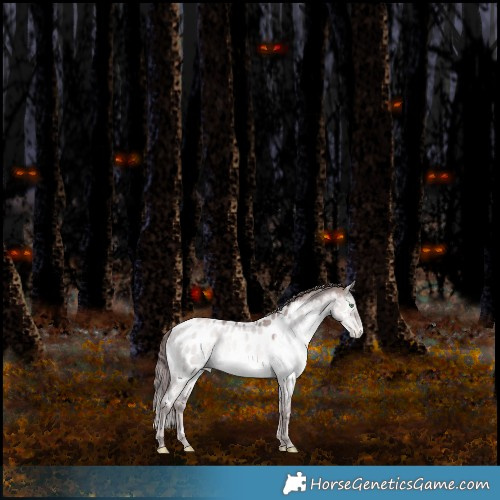 Horse Color:Platinum White Spotted Chocolate Brown Pearl Dun Mushroom Appaloosa Rabicano