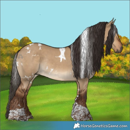 Horse Color:Gray White Spotted Liver Red Dun Tobiano Rabicano 