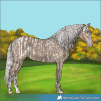 Horse Color:Gray Silver Amber Cream Champagne Roan Dun Splash Tobiano Blanket Rabicano and Silver Grullo