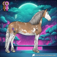 Horse Color:White Spotted Silver Buckskin Splash