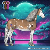 Horse Color:White Spotted Silver Buckskin Splash 
