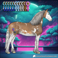 Horse Color:White Spotted Silver Buckskin Splash 