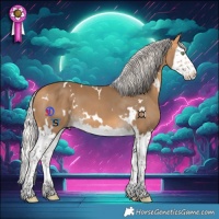 Horse Color:White Spotted Silver Buckskin Splash 