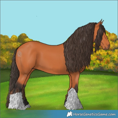 Horse Color:Bay Tobiano 