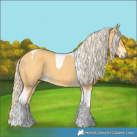 Horse Color:Palomino Tobiano 
