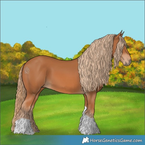 Horse Color:Chestnut Tobiano 