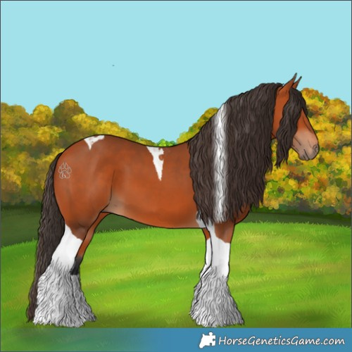 Horse Color:Bay Tobiano 