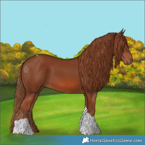 Horse Color:Chestnut Tobiano 