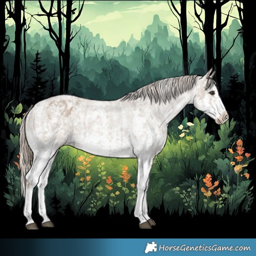 Horse Color:Liver Red Dun Sabino Splash Appaloosa  and Liver Red Dun Sabino Splash Appaloosa 