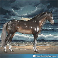 Horse Color:Gray White Spotted Silver Black 