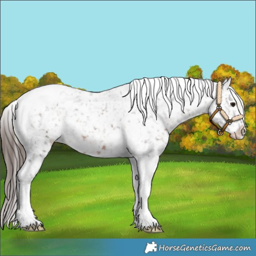 Horse Color:Brown Tobiano Snowflake Varnish