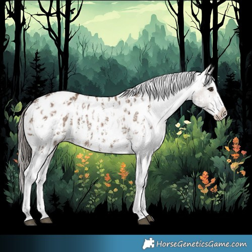 Horse Color:Liver Red Dun Sabino Splash Appaloosa  and Liver Red Dun Sabino Splash Appaloosa 
