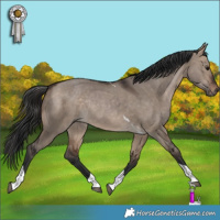 Horse Color:Bay Dun Tobiano Rabicano