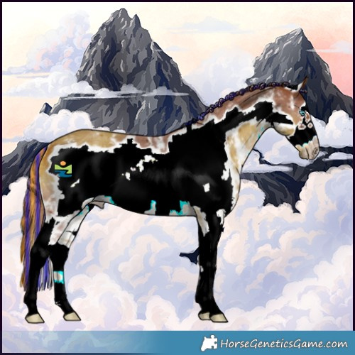 Horse Color:Painted Chestnut Sabino Frame Rabicano 