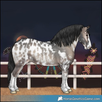 Horse Color:Blue Onyx Sabino Near Leopard 