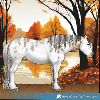 Horse Color:Buckskin Sabino Splash 