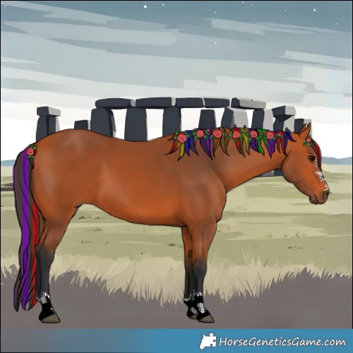 Horse Color:Painted Bay 