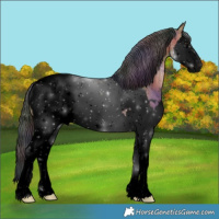 Horse Color:Void Nacre White Spotted Bay Splash Appaloosa 