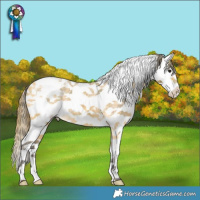 Horse Color:Plaid Buckskin Ice Splash Tobiano Varnish