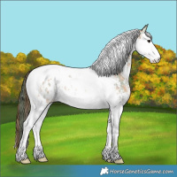 Horse Color:Plaid Bay Ice Sabino Splash Tobiano Near Leopard