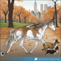 Horse Color:Chocolate Palomino Splash Rabicano 