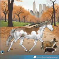 Horse Color:Chocolate Palomino Splash Rabicano