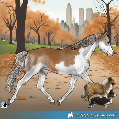 Horse Color:Chocolate Palomino Splash Rabicano 