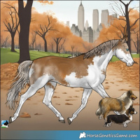 Horse Color:Chocolate Palomino Splash Rabicano 