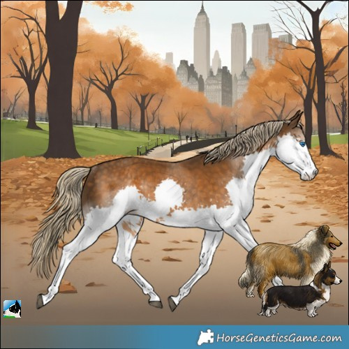 Horse Color:Chocolate Palomino Splash Rabicano