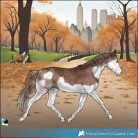 Horse Color:Liver Chestnut Splash Rabicano