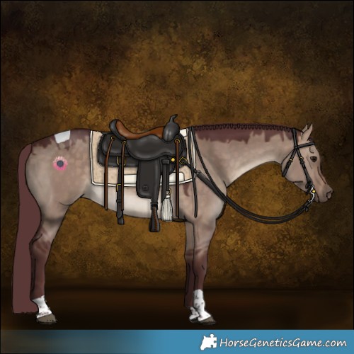 Horse Color:Chocolate Brown Dun Tobiano 