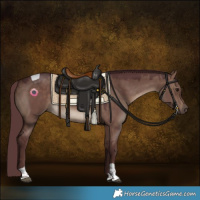 Horse Color:Chocolate Brown Dun Tobiano