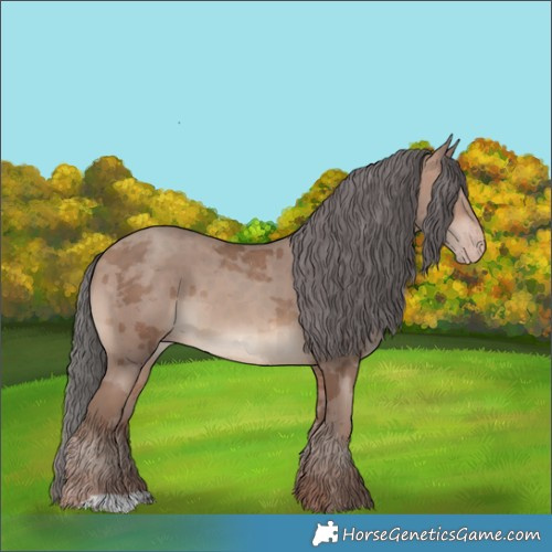 Horse Color:Sable Champagne Merle 