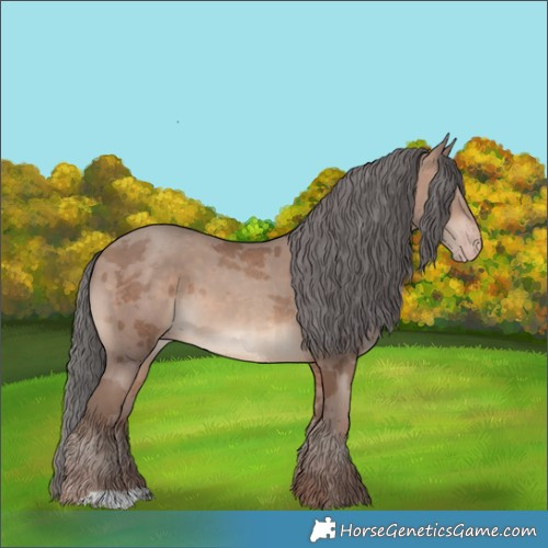 Horse Color:Sable Champagne Merle 
