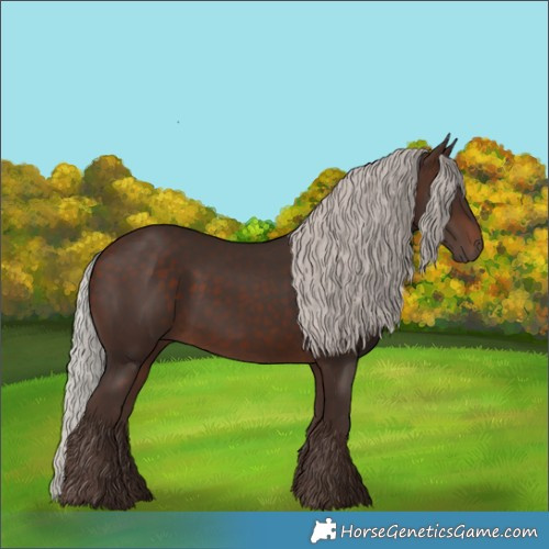 Horse Color:Silver Brown 