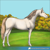 Horse Color:Classic Cream Champagne Pearl 
