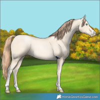 Horse Color:Classic Cream Champagne Pearl 