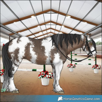 Horse Color:Brown Dun Sabino Brindle