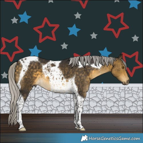 Horse Color:Silver Buckskin Tobiano