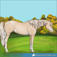 Horse Color:Smoky Black Pearl and Silver Smoky Black Pearl