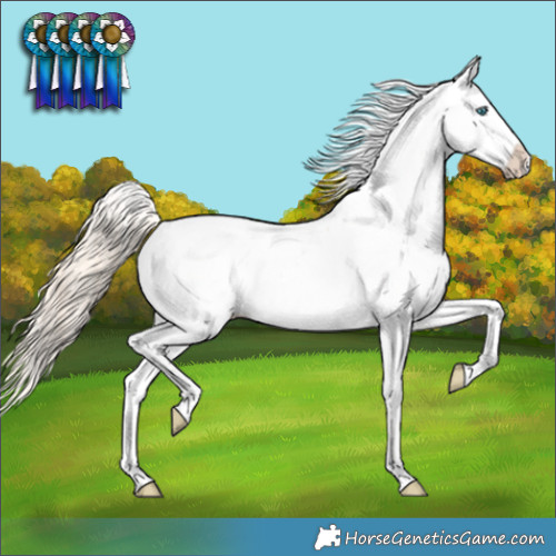 Horse Color:Perlino Dun Appaloosa 