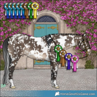 Horse Color:White Spotted Brown Dun Snowflake Varnish 