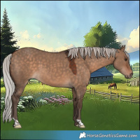 Horse Color:Silver Bay Dun 