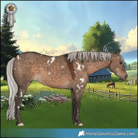 Horse Color:White Spotted Silver Brown Dun 