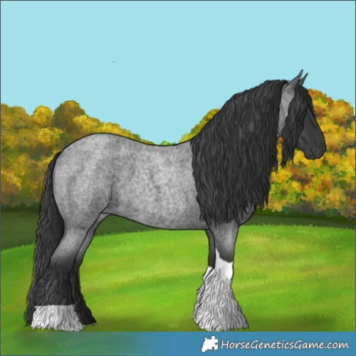Horse Color:Blue Roan Tobiano 