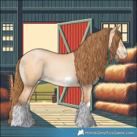 Horse Color:Bay Pearl Dun Splash Frame 