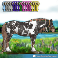 Horse Color:White Spotted Liver Chestnut Appaloosa Rabicano 