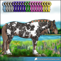Horse Color:White Spotted Liver Chestnut Appaloosa Rabicano